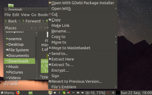 Crossover Ubuntu Mate install